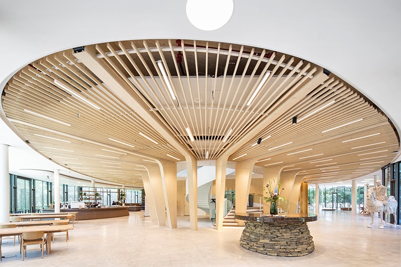 Houten constructie van Triodos Bank | DGMR