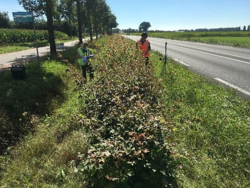 Geluidsafscherming met groenstructuren | DGMR